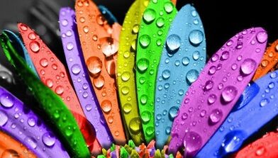 как похудеть на диете 6 лепестков